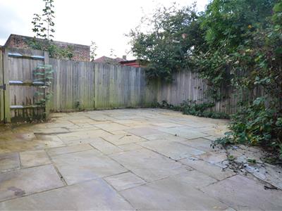 Picture 8